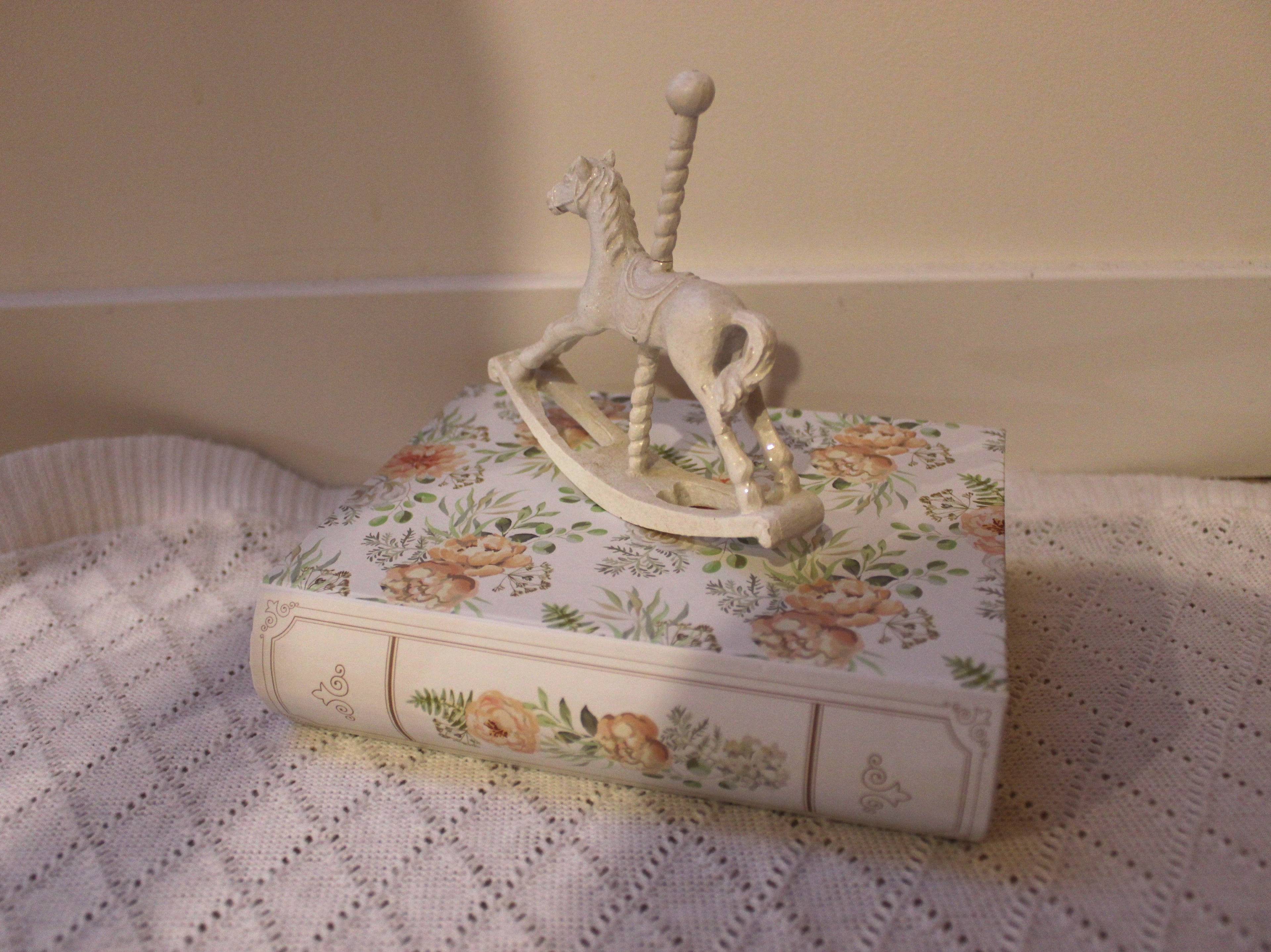 Boite trompe l'oeil livre campagne chic - Clayre & Eef - Maison Ysance 