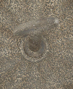 Présentoir gris métal