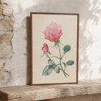 Gravure botanique ancienne d'une rose rose avec papier patiné par le temps, idéale pour une décoration campagne chic, cottage anglais ou maison de famille.