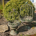 Jardinière cage en métal verte pour plantes ambiance jardin bucolique maison de charme