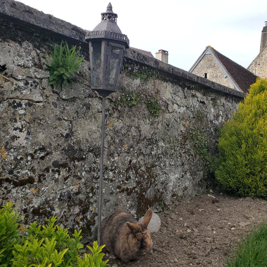 Lanterne farmhouse au charme intemporel de la campagne