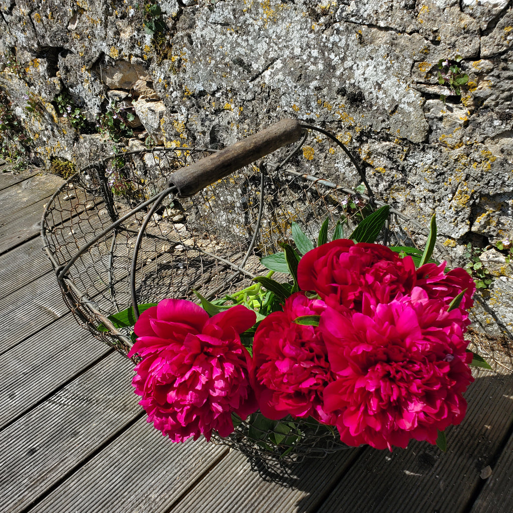 Vieux panier en métal ancien vintage pour décoration brocante