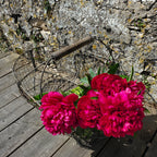 Vieux panier en métal ancien vintage pour décoration brocante