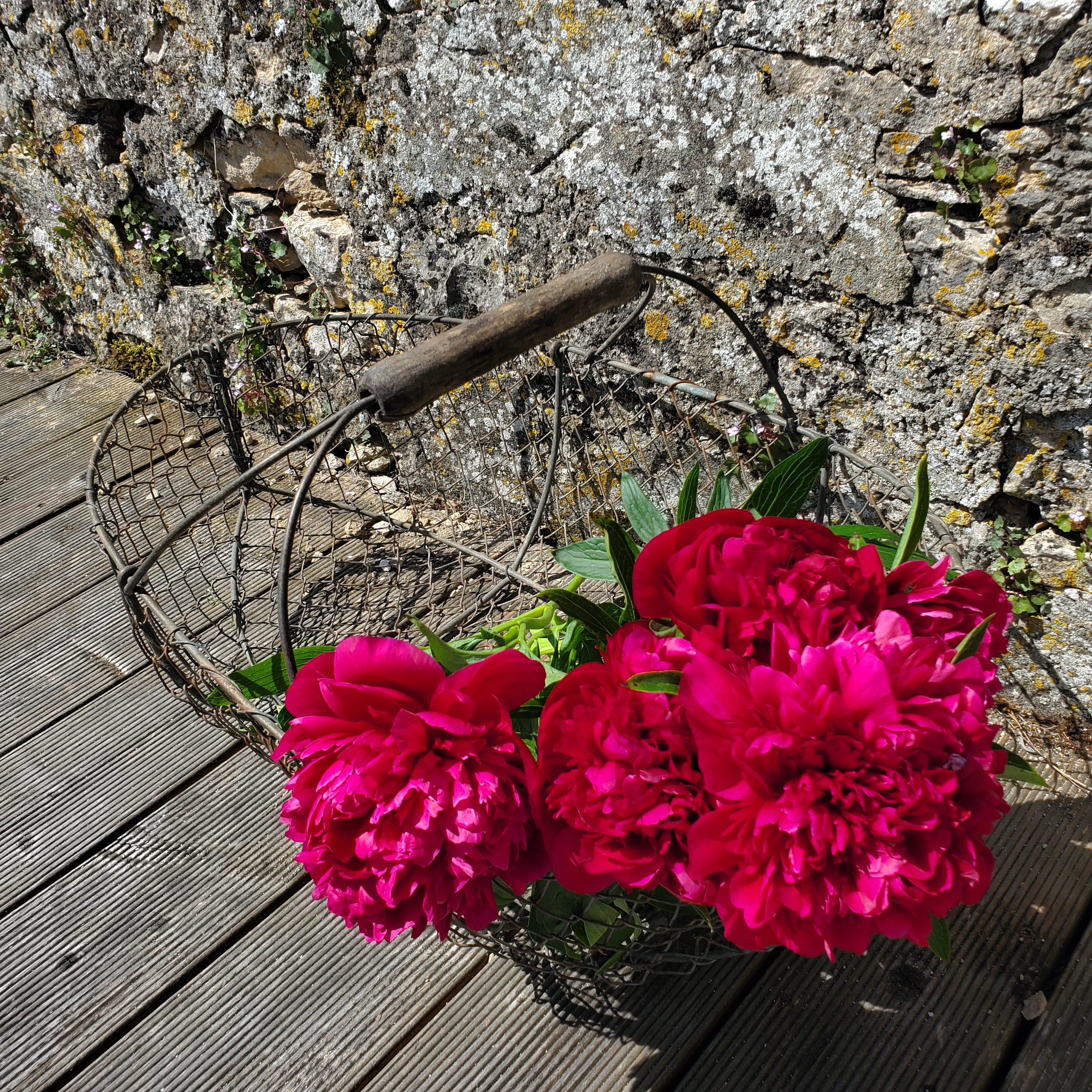 Vieux panier en métal ancien vintage pour décoration brocante