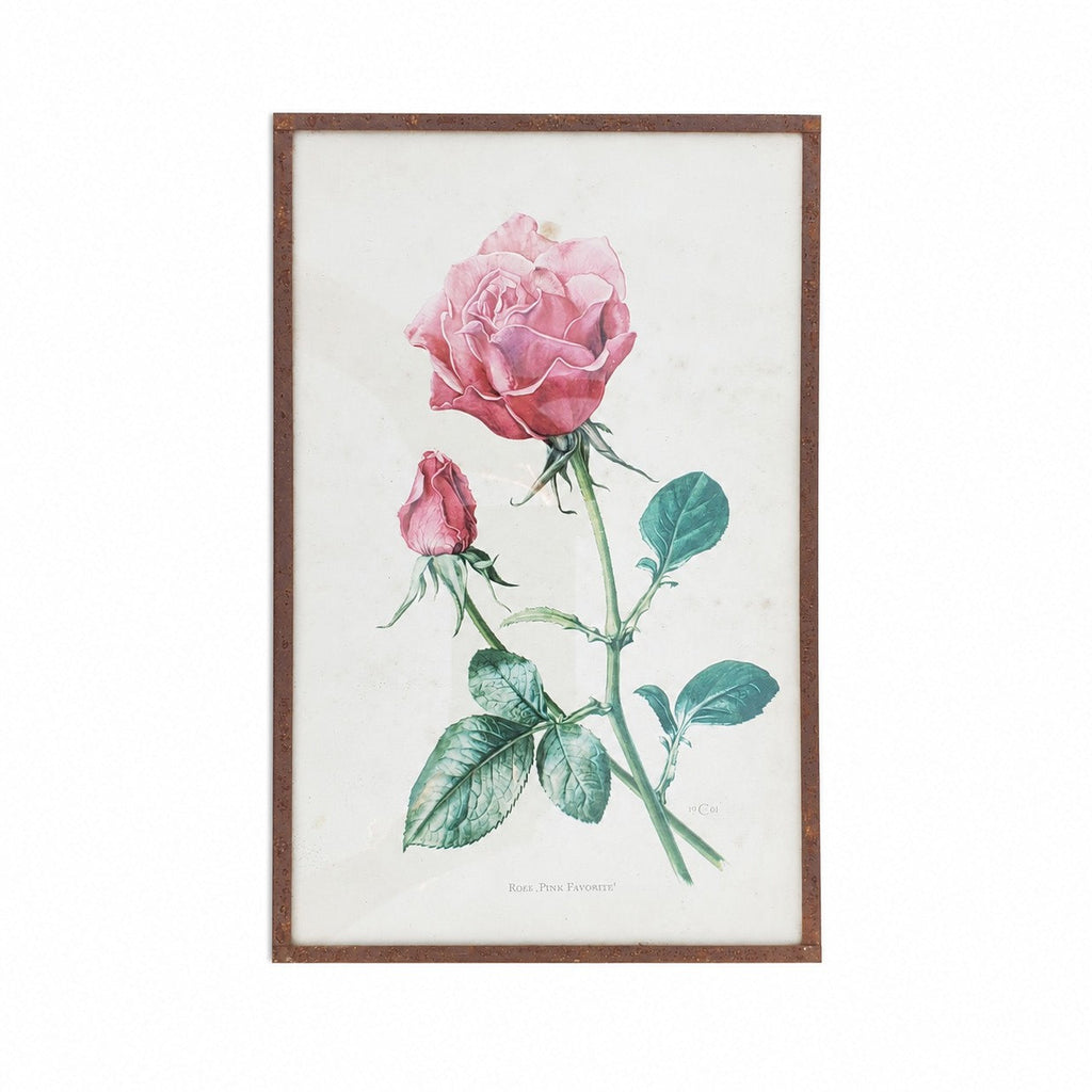Reproduction botanique ancienne sous verre