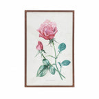 Reproduction botanique ancienne sous verre